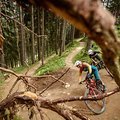 MTB Fahrtechnik Aufbaukurs in Erlangen