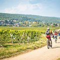 Season Opener Pfalz: Frühlingshaftes Flow- und Genusswochenende (2,5-tägig)