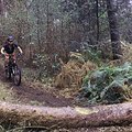 Mountainbike Singletrail Ride Haard
