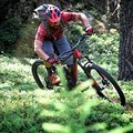 E-Mountainbike Grundlagen Fahrtechnikkurs im Altmühltal | HeumödernTrails (1 Tag)