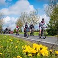 MTB-Eifelcross / Transeifel in ZWEI Leveln (4-tägig)