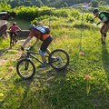 MTB / E-MTB-Fahrtechnikkurs ‚Trail & Ride 2‘ – Pfalz