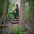 „Love the trail “ E-MTB Fahrtechnick Harburger Berge (Anschlusstermin)