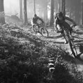 Trailhouse Bayerischer Wald Donaukamm