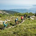 MTB-Grundlagen-Kurs 1 für Kinder (6-8 Jahre)