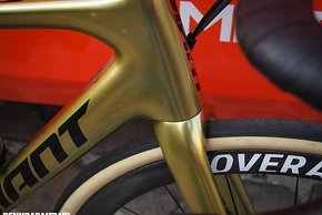 Roubaix Probikes 2019-56