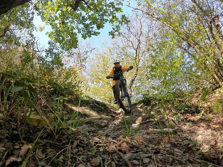 Hangtrails, Höhenpfade und Traum-Weitblicke – MTB-Camp ‚Best of Mosel-Flowtrails‘