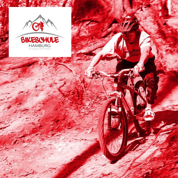 MTB-Fahrtechnik-Kurs für Experten