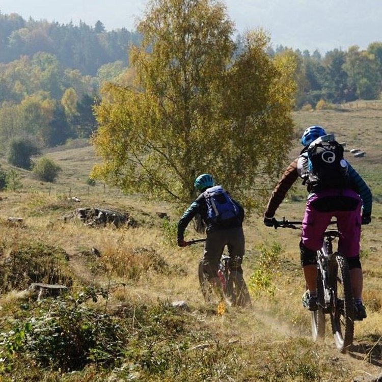 beitune 3-Tage-Singletrailtour durch die Vogesen