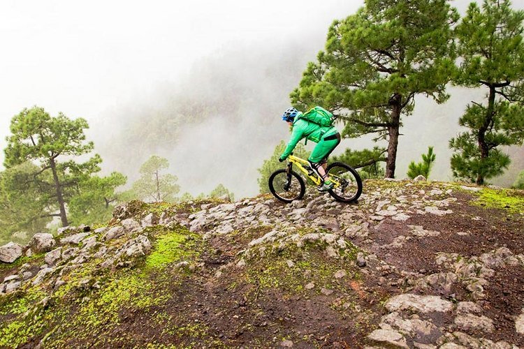 Singletrail-Camp La Palma