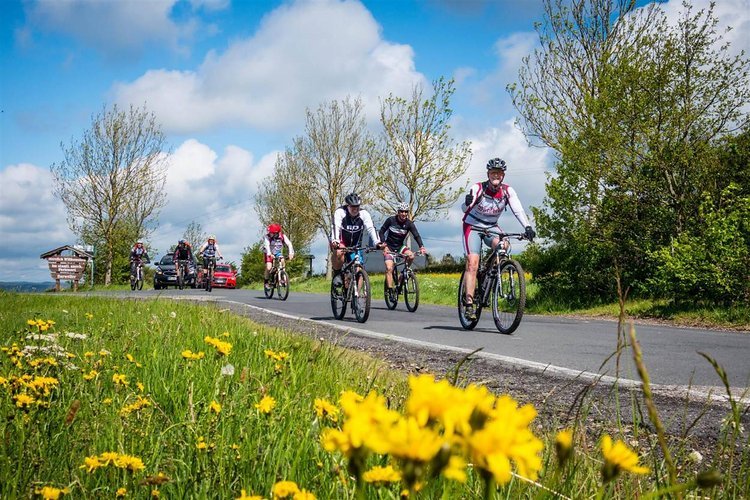 MTB-Eifelcross / Transeifel in ZWEI Leveln (4-tägig)