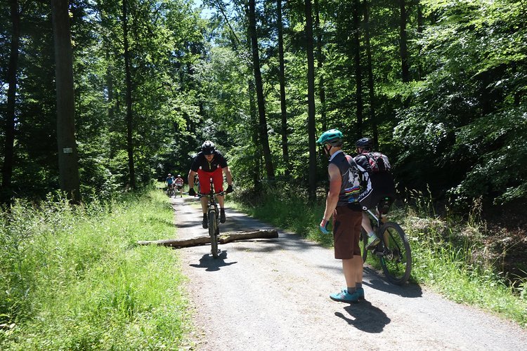 MTB Fahrtechnik Basic Aufbau in der Haard im Naturpark Hohe Mark