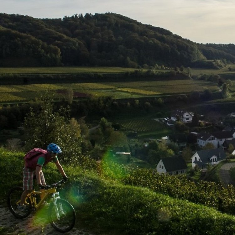 (E-)MTB-Wochenende im Kaiserstuhl