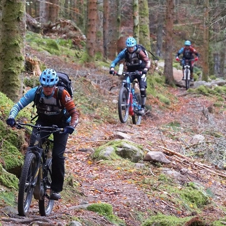beitune Trailcamp Nordvogesen