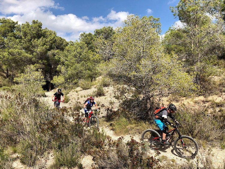 TRAILCamp Alicante