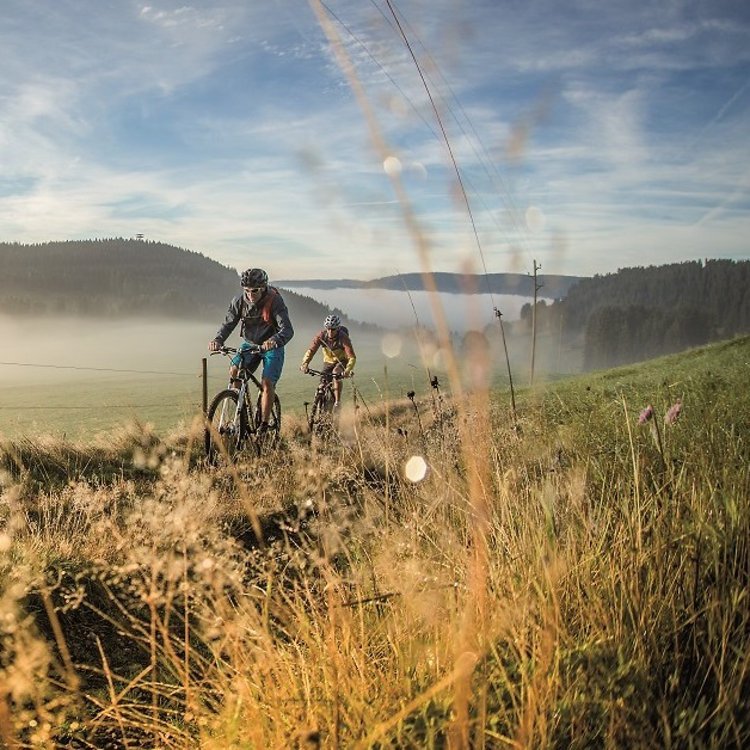 beitune 4-Tage-Schwarzwald pur