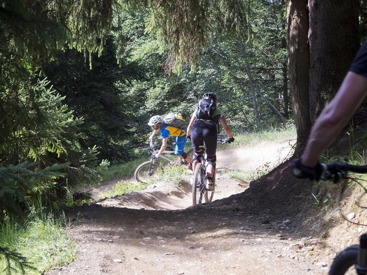 MTB Canyon-Plus Camp Leogang
