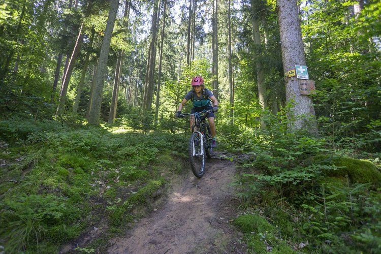 MTB-Traildays Odenwald – sagenhaftes Biken ‚Women only‘ (3-tägig)