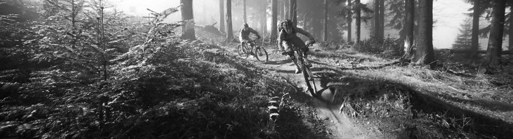 Trailhouse Bayerischer Wald Donaukamm
