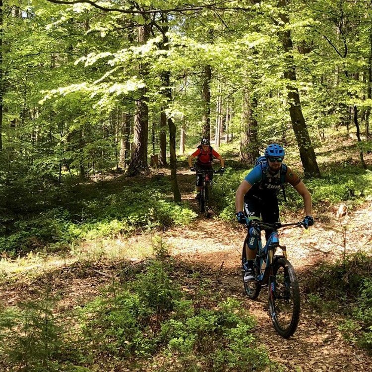 beitune MTB-Fahrtechniktraining Baiersbronn
